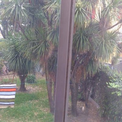 69321045_896373687403577_7983585415686782976_n